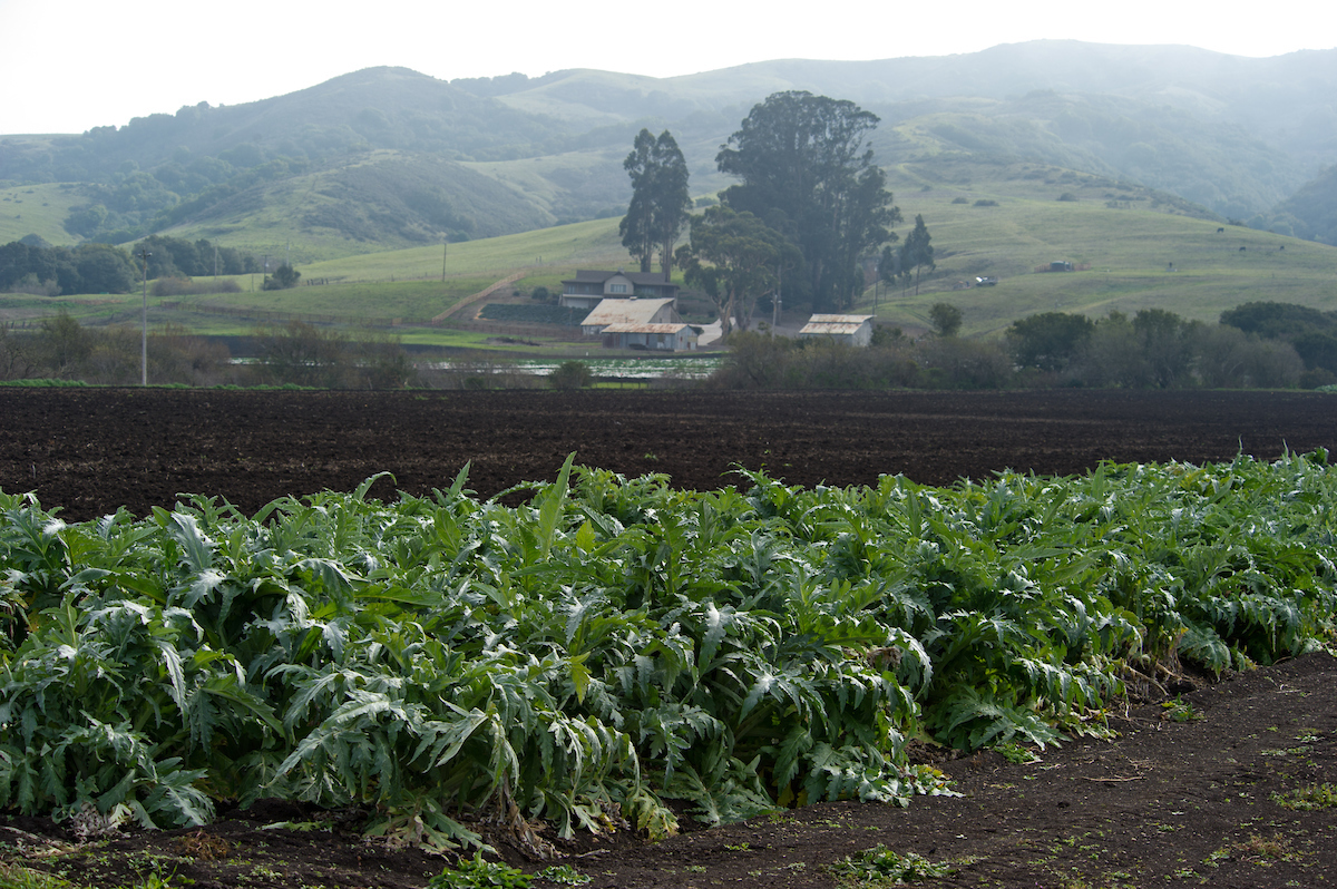 NEW REPORT: Landmark CA Groundwater policy neglects small, underrepresented farmers